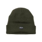 Thinsulate Knitted Beanie in Green